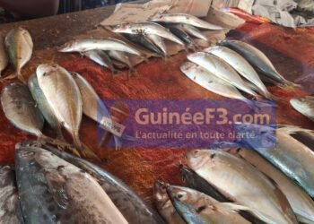 Dar-es-salam : la cherté du poisson pèse lourdement sur le panier de la ménagère pendant ce Ramadan