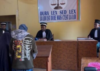 Affaire d&rsquo;agression à Labé : Ramatoulaye Bah et Hadja Kadiatou Barry condamnées pour violences