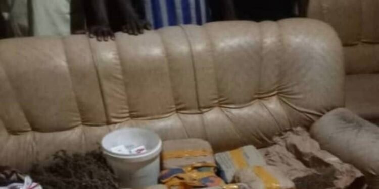 Saisie record de cannabis à Sambailo : Cinq interpellations par la BSIP de Koundara