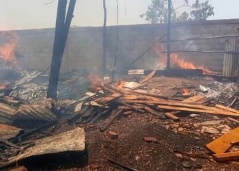 Kindia : un incendie dévastateur à Caravanserail ravage des dépôts de bois