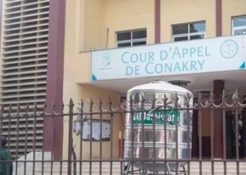 Conakry : le parquet général met en garde contre la recrudescence des infractions numériques